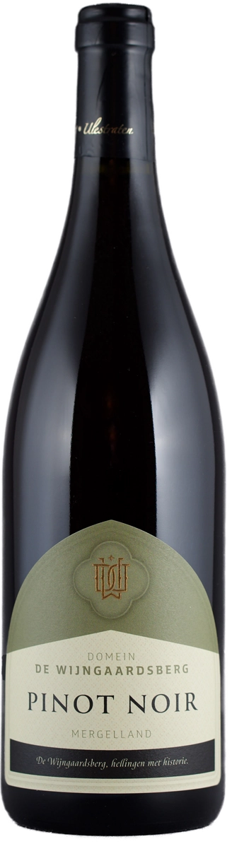 img-wijngaardsberg-pinot-noir-fles